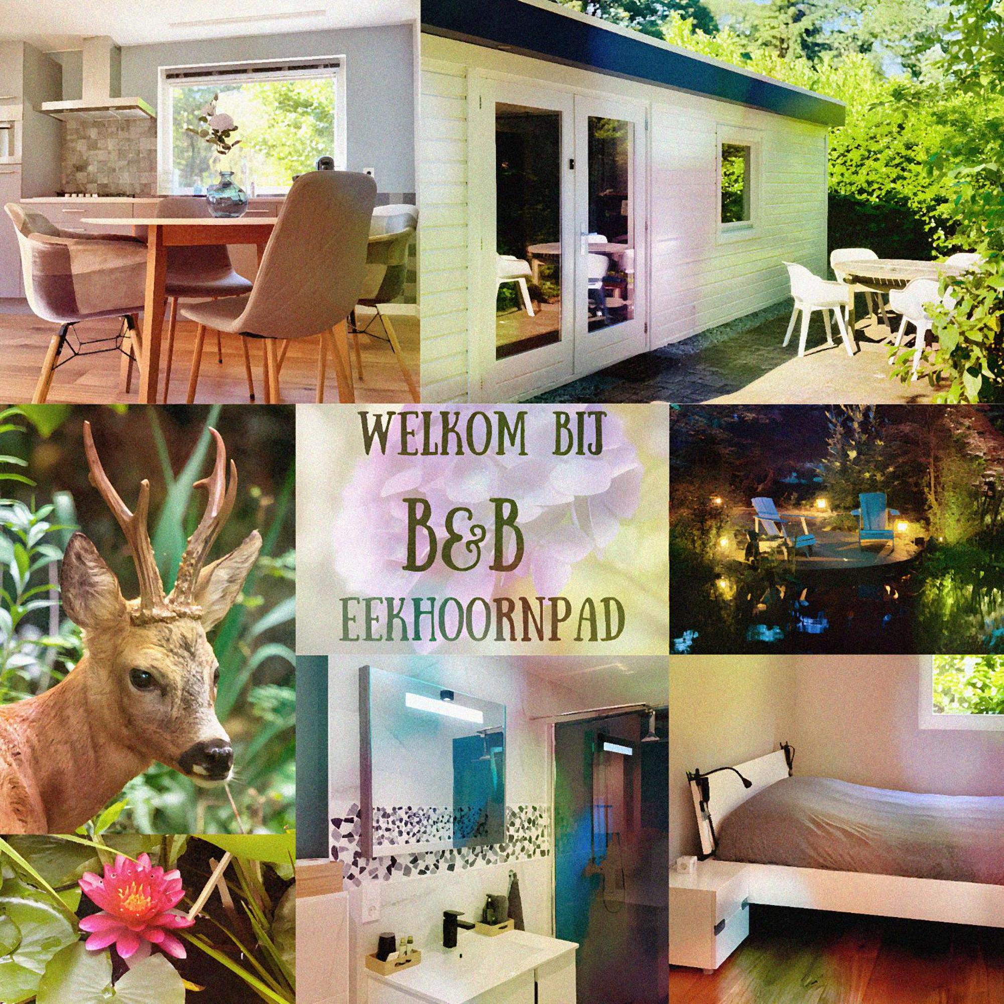 B&B Eekhoornpad Tilburg Bagian luar foto